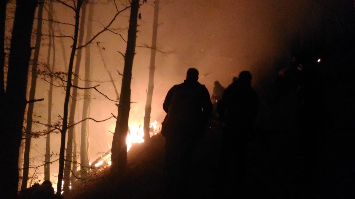 incendiu padure magura (1)