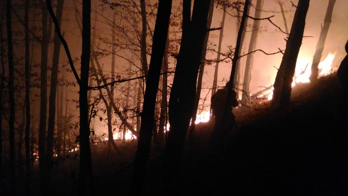 incendiu padure magura (5)