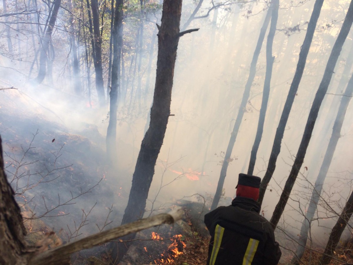 incendiu padure pompieri Magura (3)