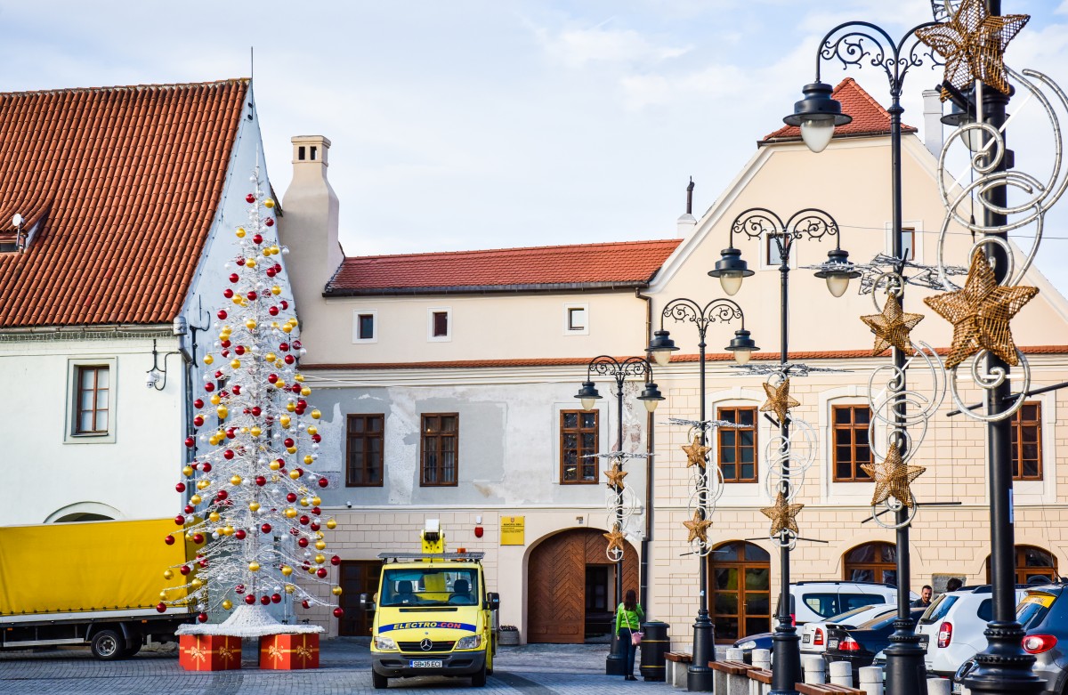 brad craciun sarbatori sibiu (1)