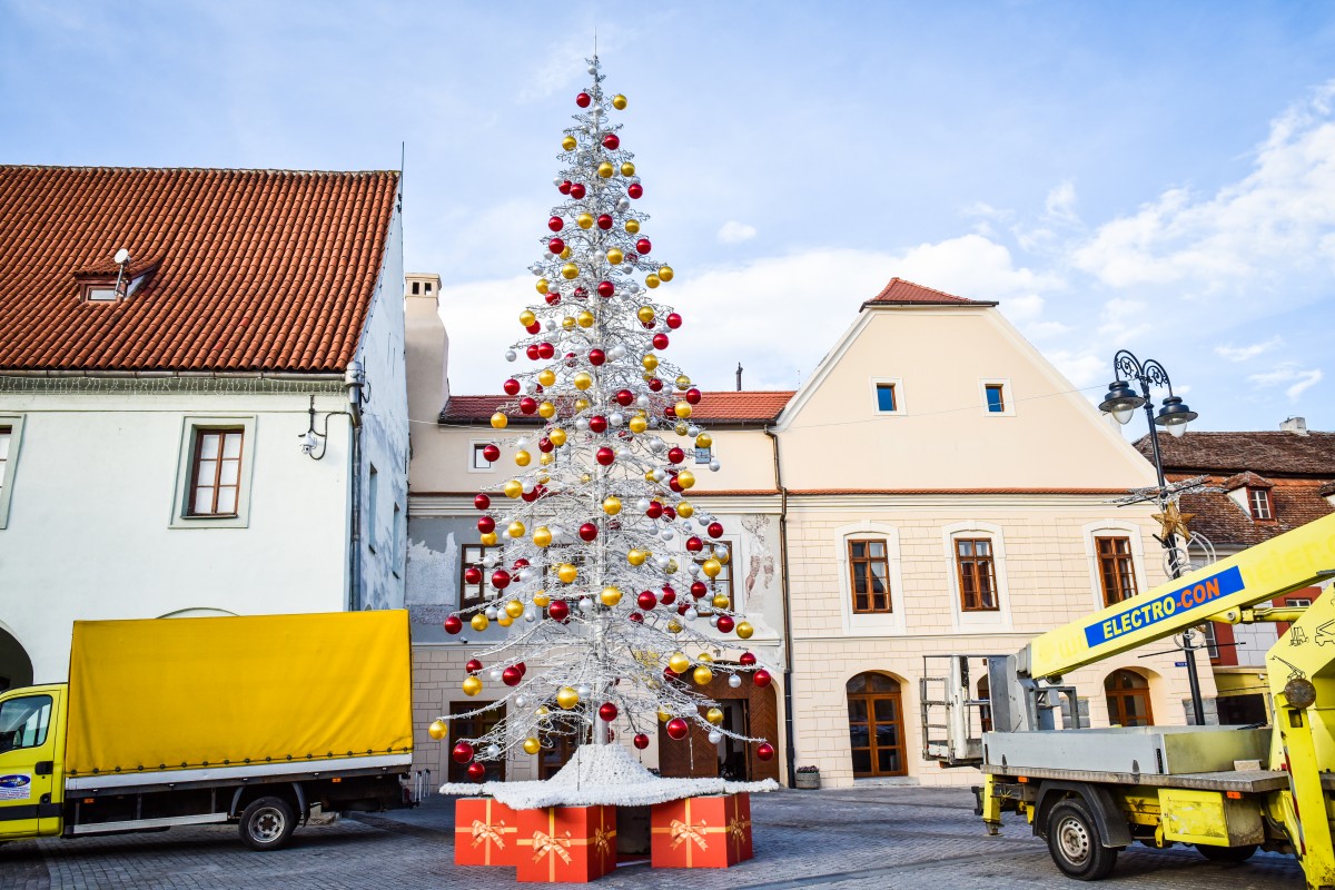 brad craciun sarbatori sibiu (2)