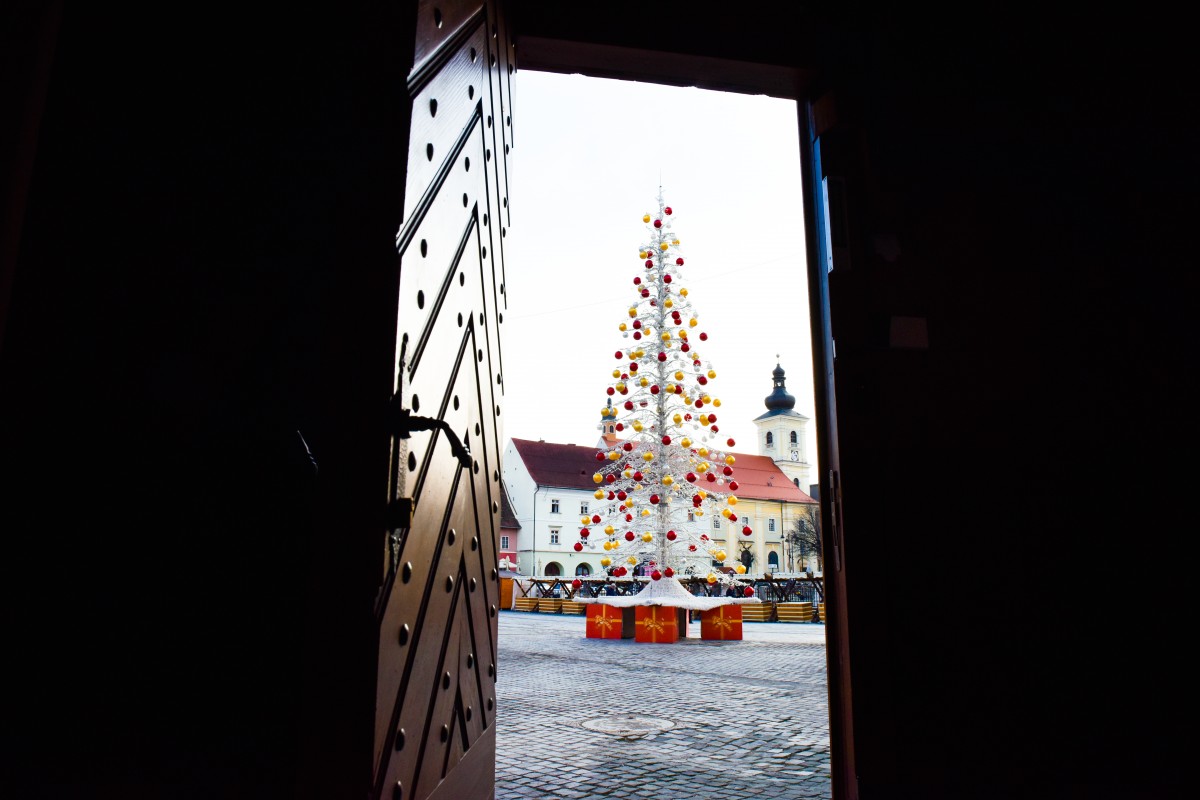 brad craciun sarbatori sibiu (5)