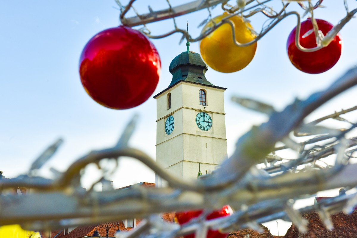 brad craciun sarbatori sibiu (7)