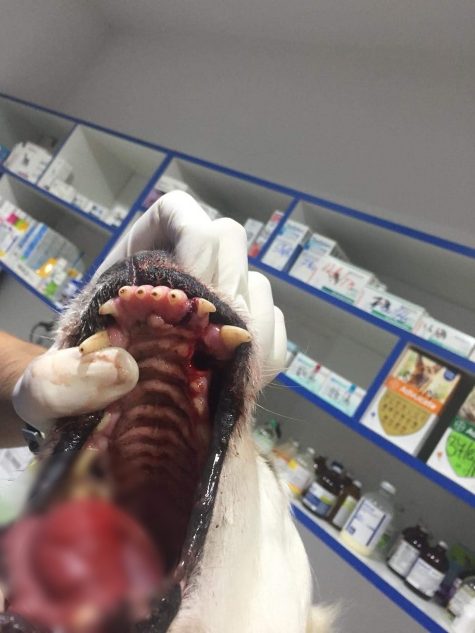 WhatsApp Image 2019-12-20 at 3.10.11 PM