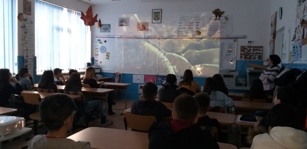 Curs igiena 2