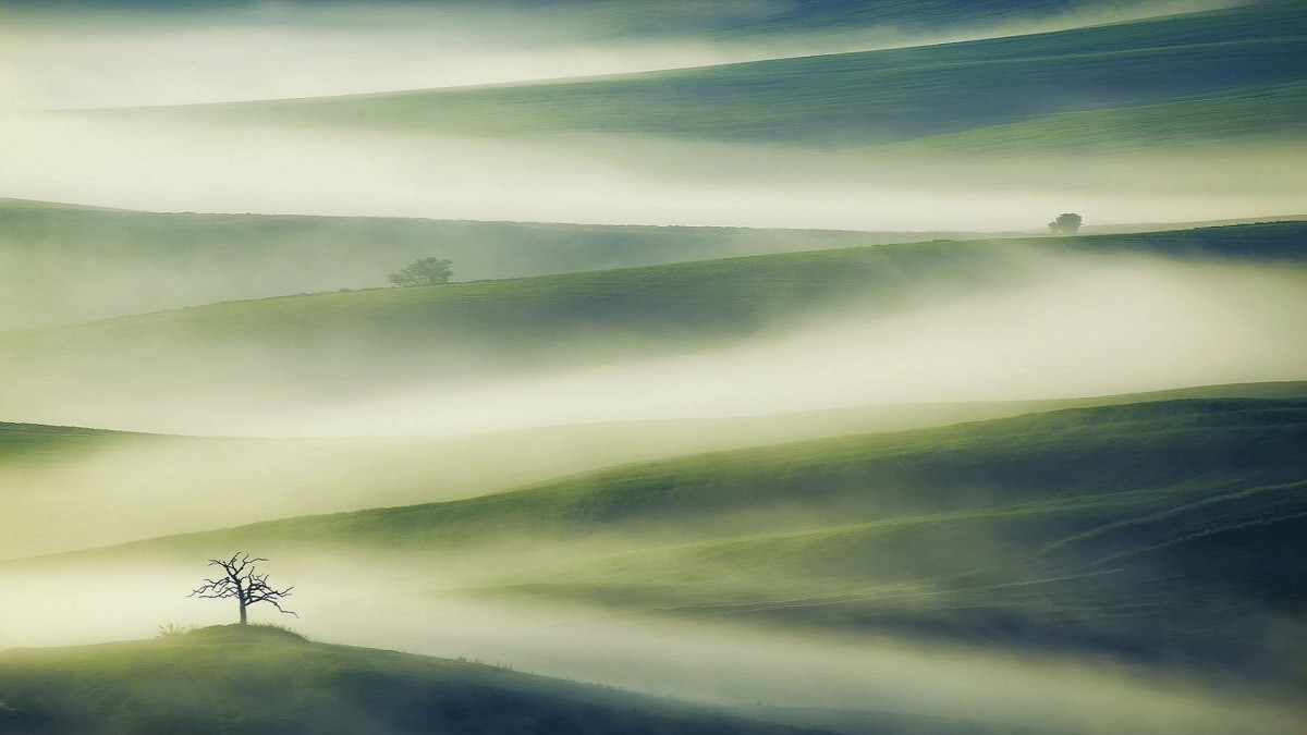 Solitude