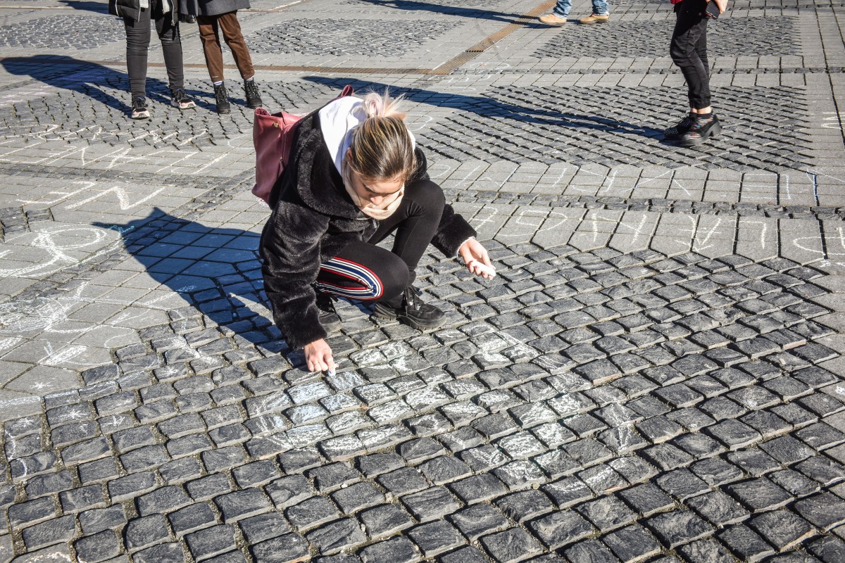 fridays for future (11)
