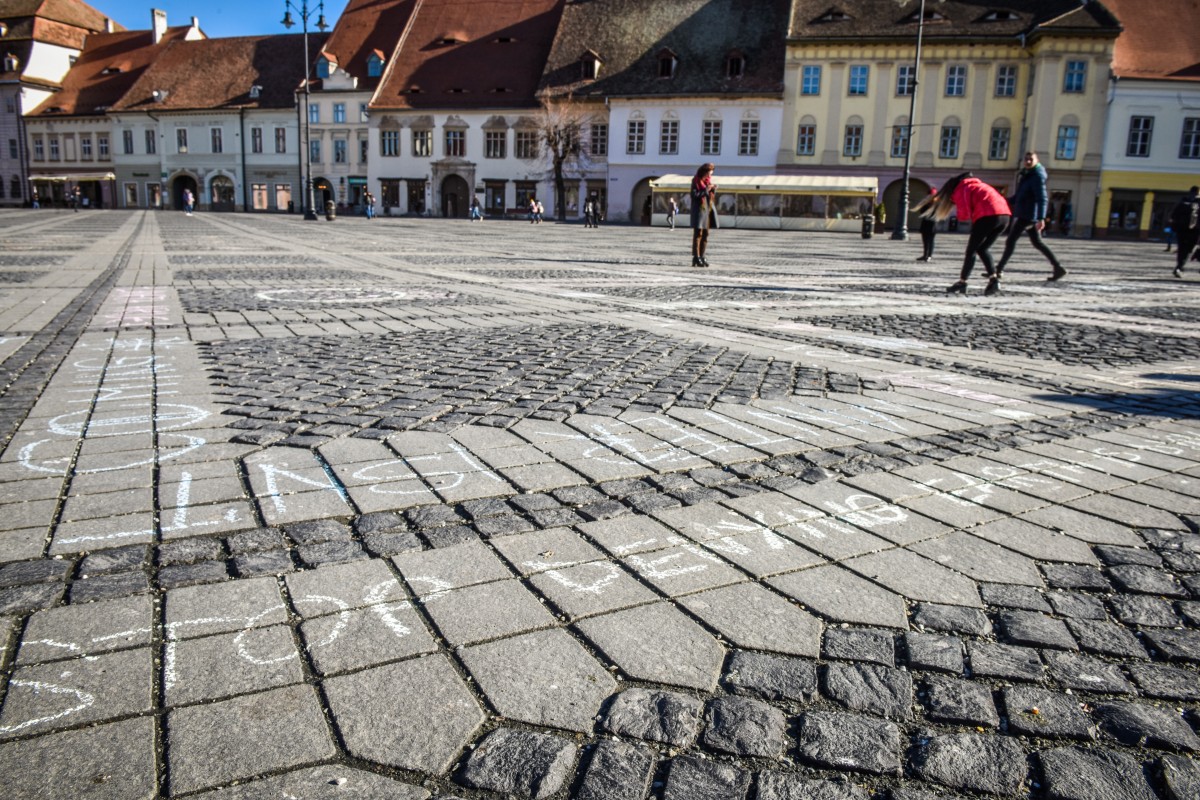 fridays for future (15)