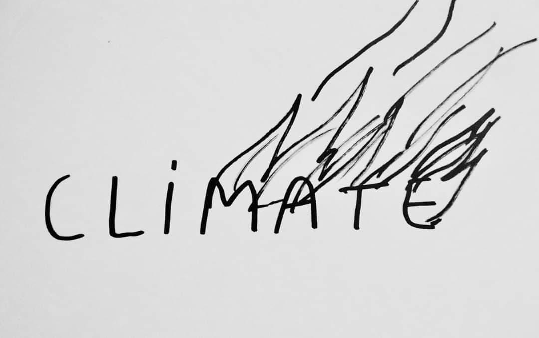 CLIMATE - Copy Dan perjovschi