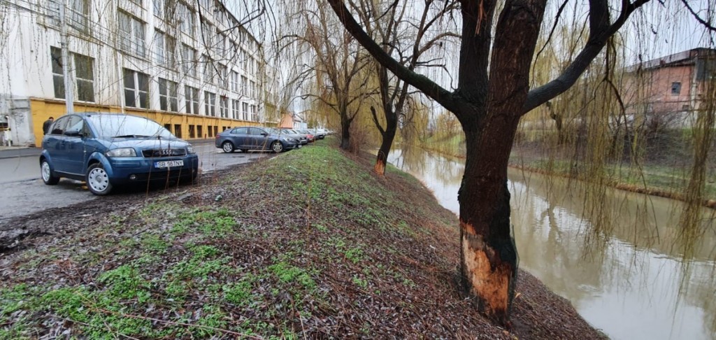 WhatsApp Image 2020-03-22 at 16.58.18