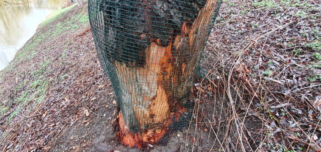 WhatsApp Image 2020-03-22 at 16.58.18 (2)