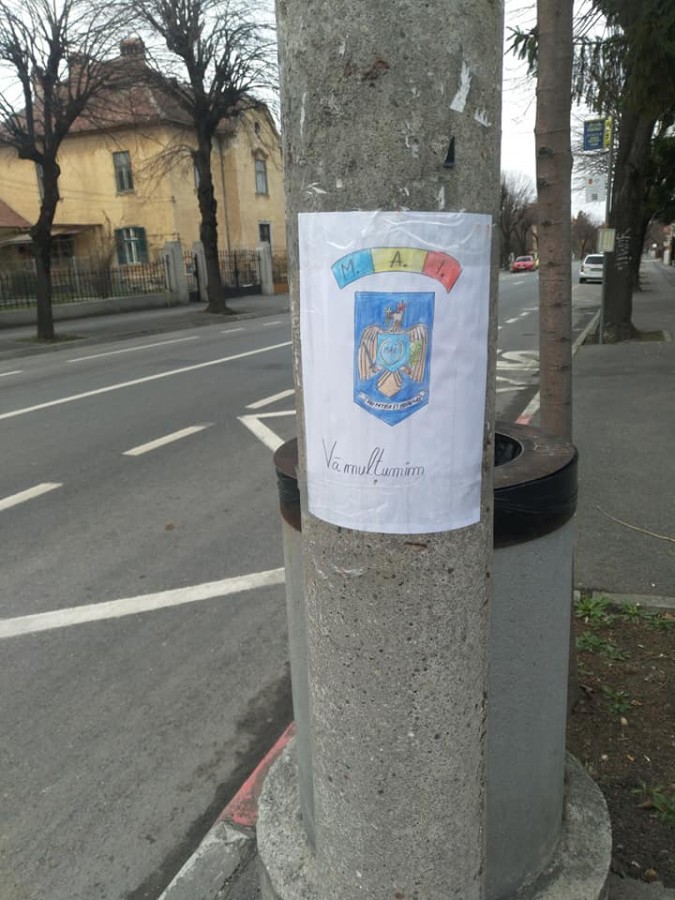 desene pe stalpi1