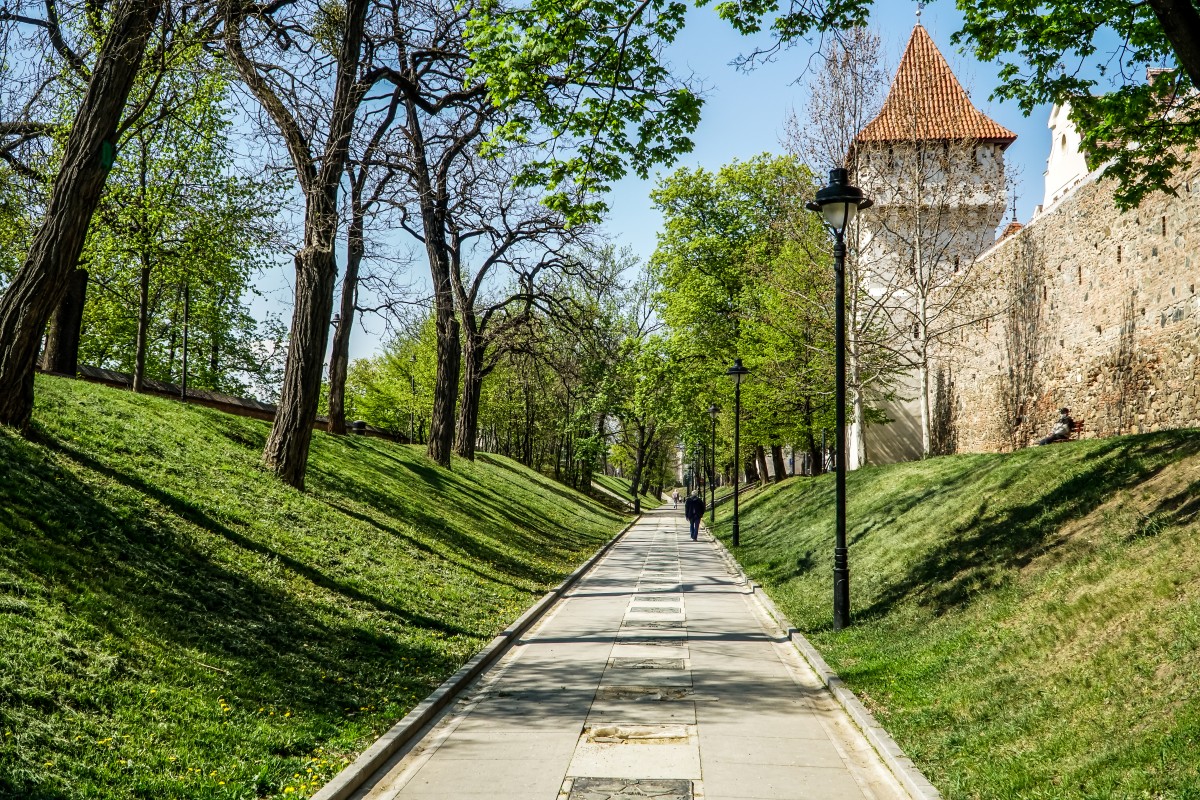 foto Primaria Sibiu