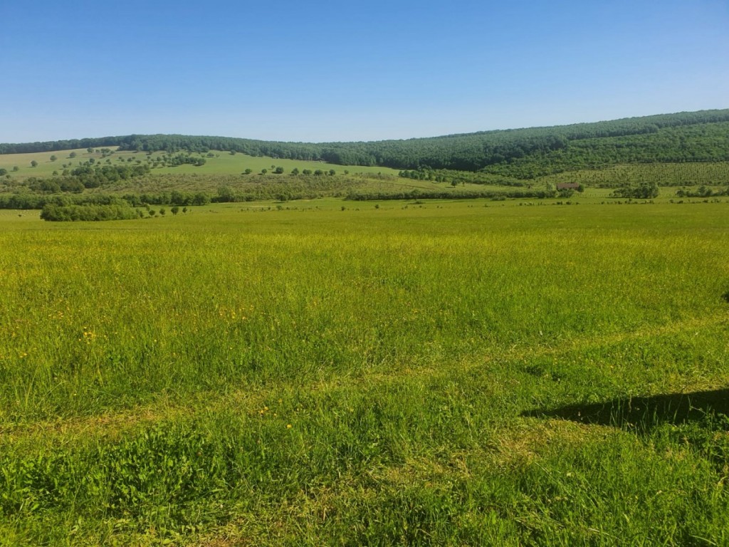 6d0de439-094b-4514-940b-70018d7ee61c