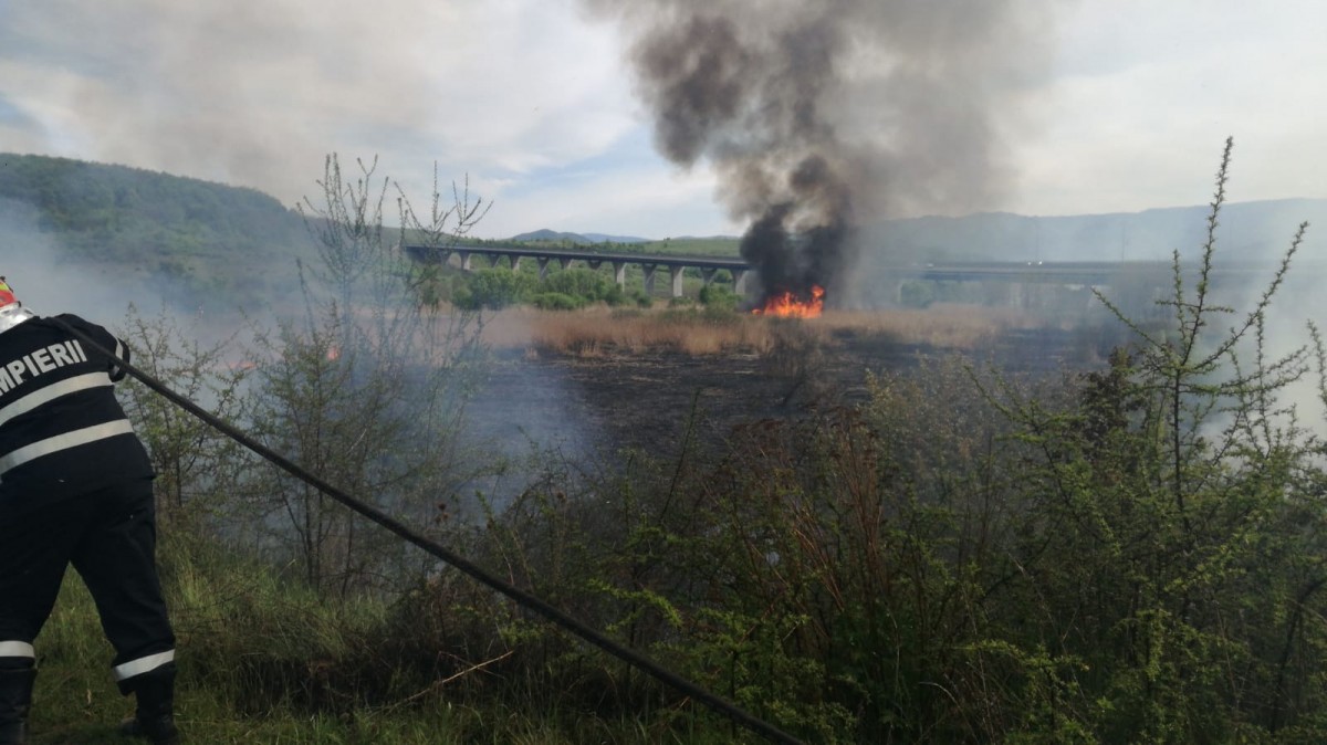 WhatsApp Image 2020-05-09 at 17.36.30