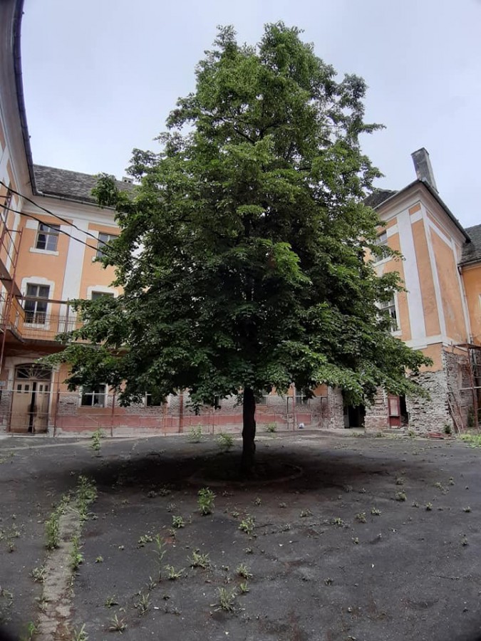 fostul pedagogic1