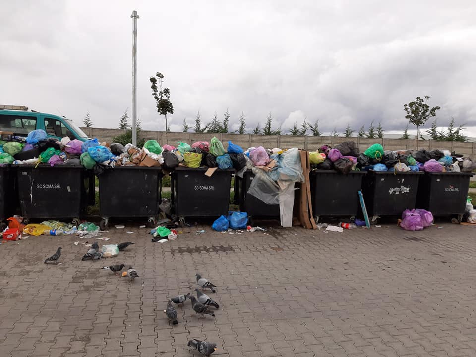 FOTO - Exemplu de civilizație și bun simț în Cartierul Arhitecților