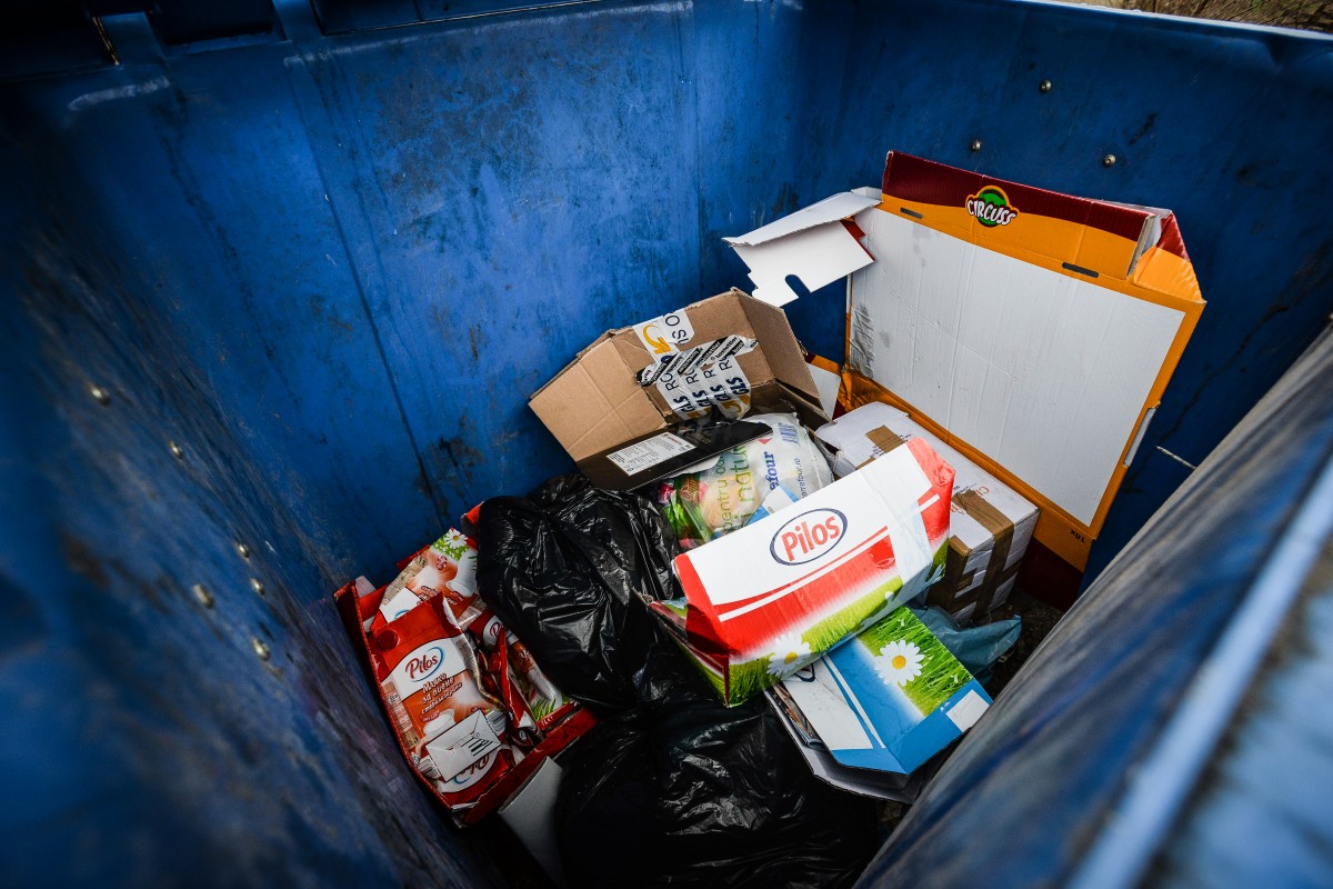 Colectezi separat hârtia? Reduci nu doar exploatarea pădurilor, ci și consumul de apă și electricitate