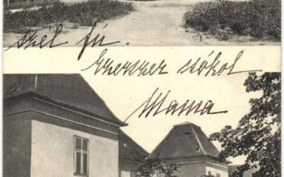 Fondatorii Școlii Finlandeze din Sibiu au cumpărat Castelul Thobias. ”Vrem să facem un centru de învățare pentru copii și adolescenți”