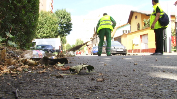 Curățenia și deszăpezirea Sibiului, ca ”la piață”: trei firme obligă Primăria să reia atribuirea celui mai mare contract de servicii