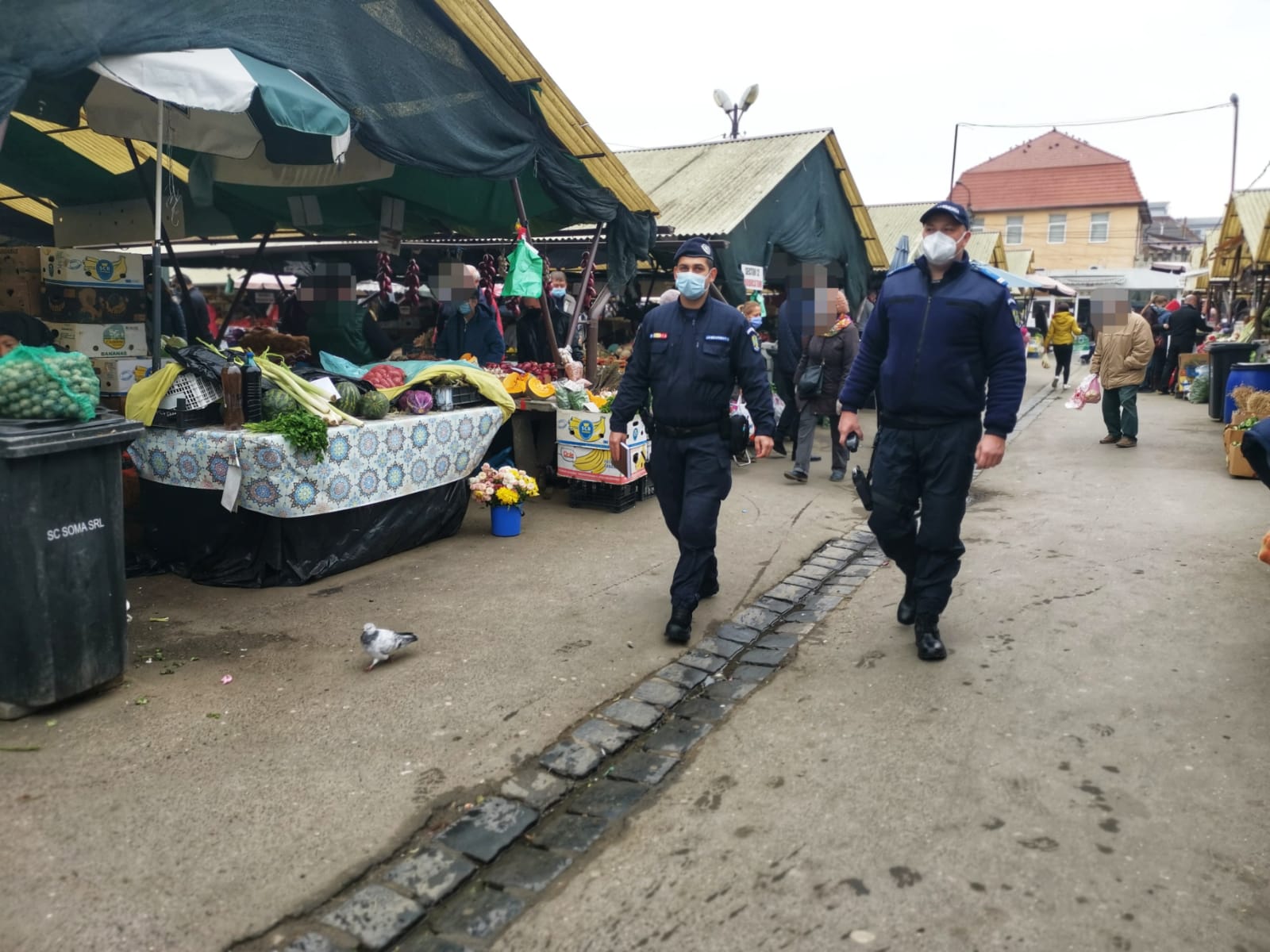 Scad cazurile, scad și amenzile. 4500 de lei în ultimele 24 de ore