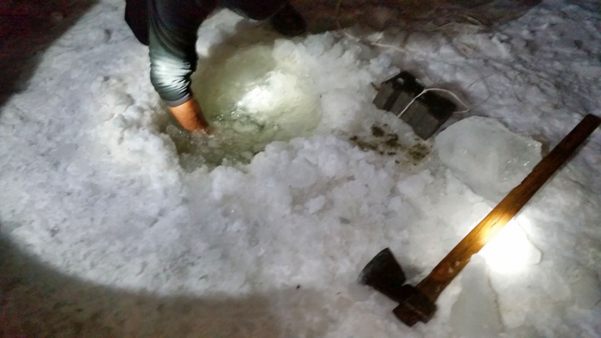 FOTO VIDEO - Lupta surdă împotriva braconajului se face pe ger, în miez de noapte, cu lanterna. ”Poliția îi știe!”