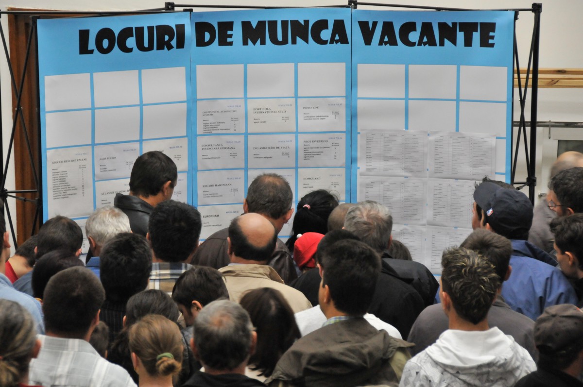 Angajări masive în prag de sărbători: Aproape o mie de job-uri disponibile
