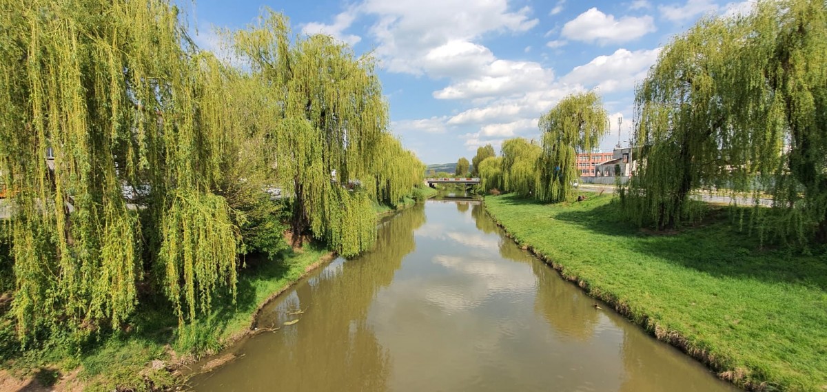 Primăria Sibiu curăță cursurile apelor din oraș