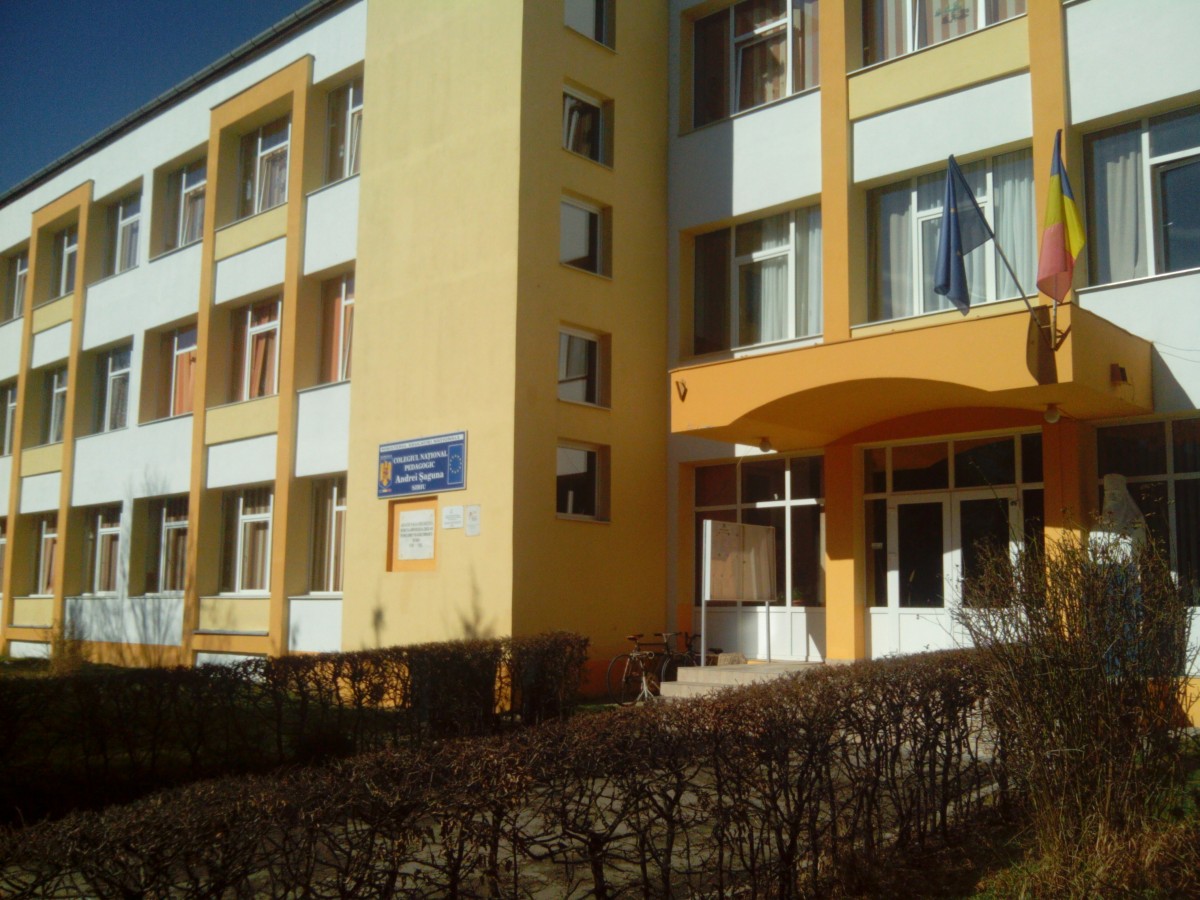 Se înmulțesc cazurile de gripă în școlile din Sibiu. O clasă și-a suspendat cursurile