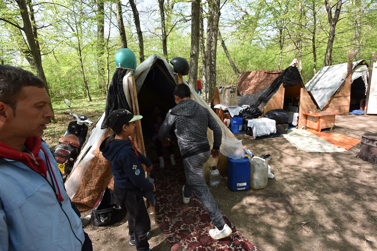 „Refugiații“ din Pădurea Dumbrava | Foto și video