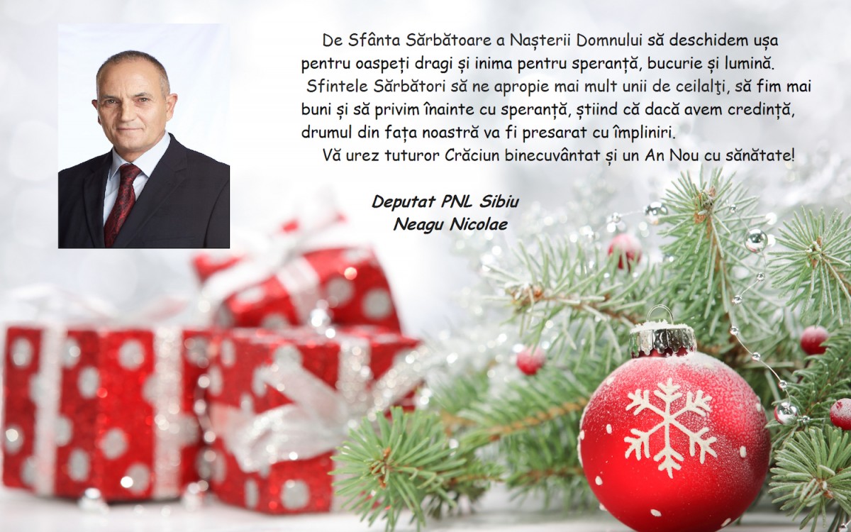 Mesaj de sărbători, deputat Nicolae Neagu (CP)