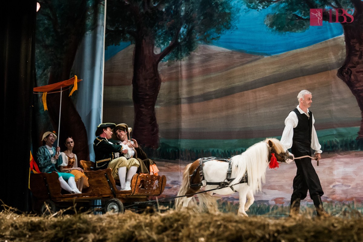 Spectacolul „La fille mal gardée” al Teatrului de Balet Sibiu reprogramat, cu doar o treime din locuri scoase la vânzare