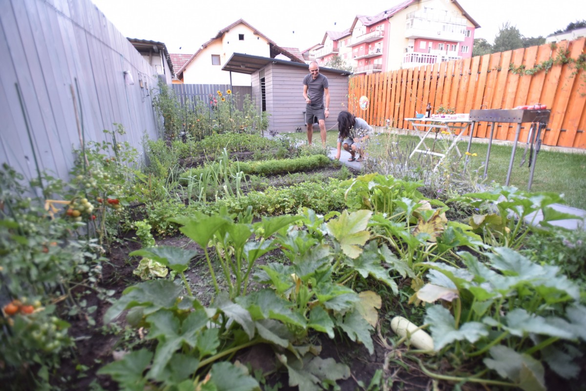 VIDEO Cea mai frumoasă și sănătoasă grădină de la oraș. ”Un hobby care satisface și niște nevoi de alimentație”