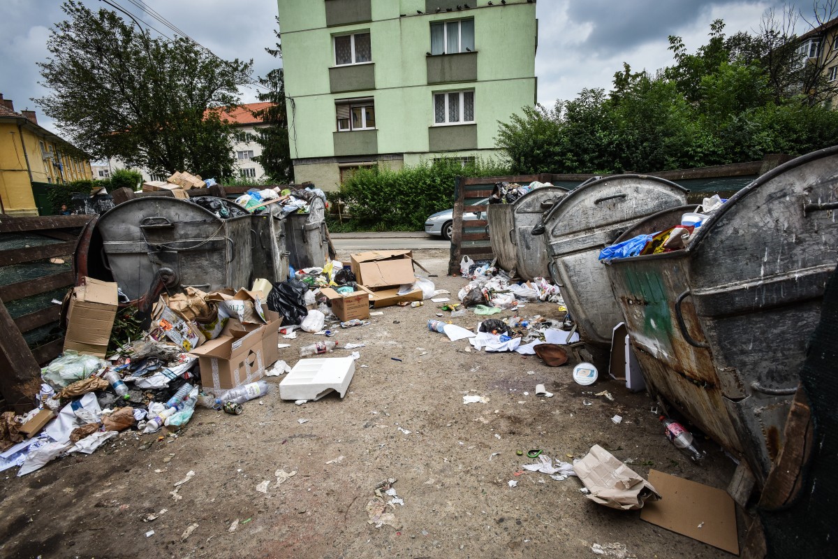 Europa, venim? Contractul pentru colectarea selectivă a fost semnat. Sibienii împart gunoiul în cinci din noiembrie