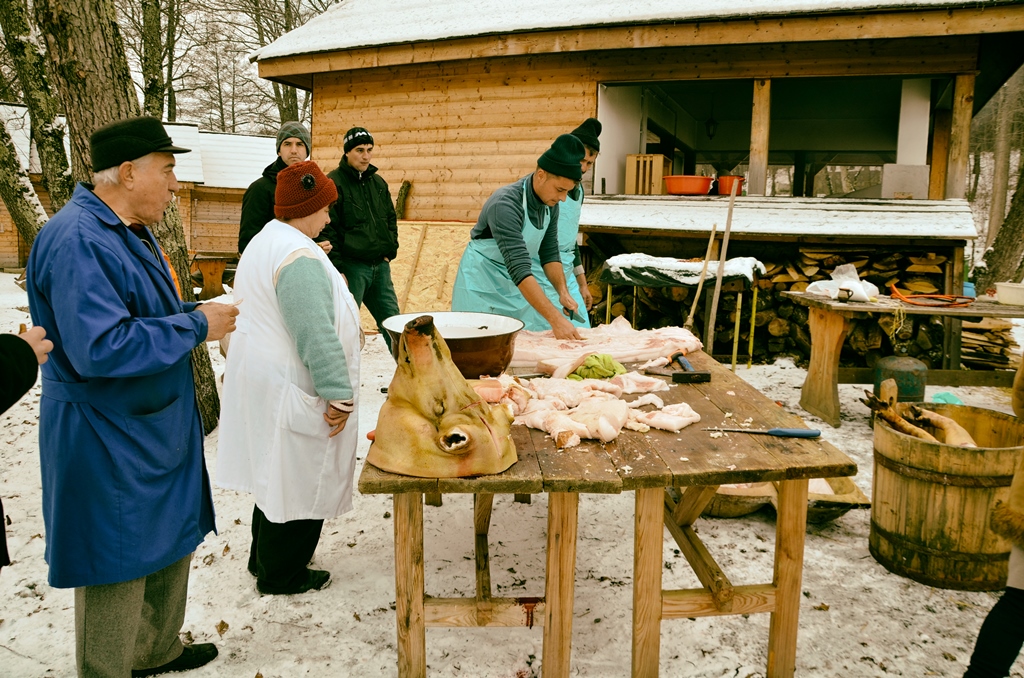 Vine Crăciunul: voi putea tăia porcul? Ce spun șefii DSVSA Sibiu în contextul răspândirii pestei porcine