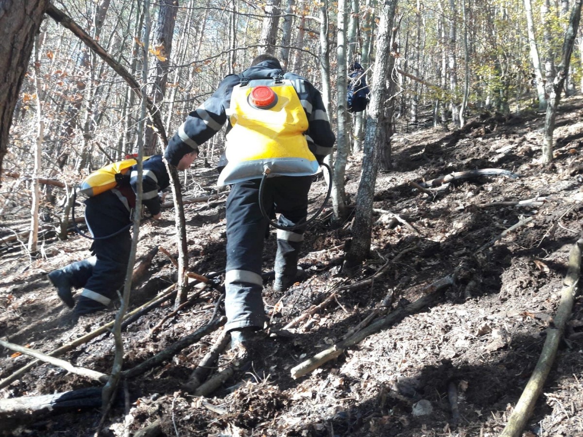 Un nou incendiu la pădurea Măgura. Au aprins focul și l-au lăsat nesupravegheat