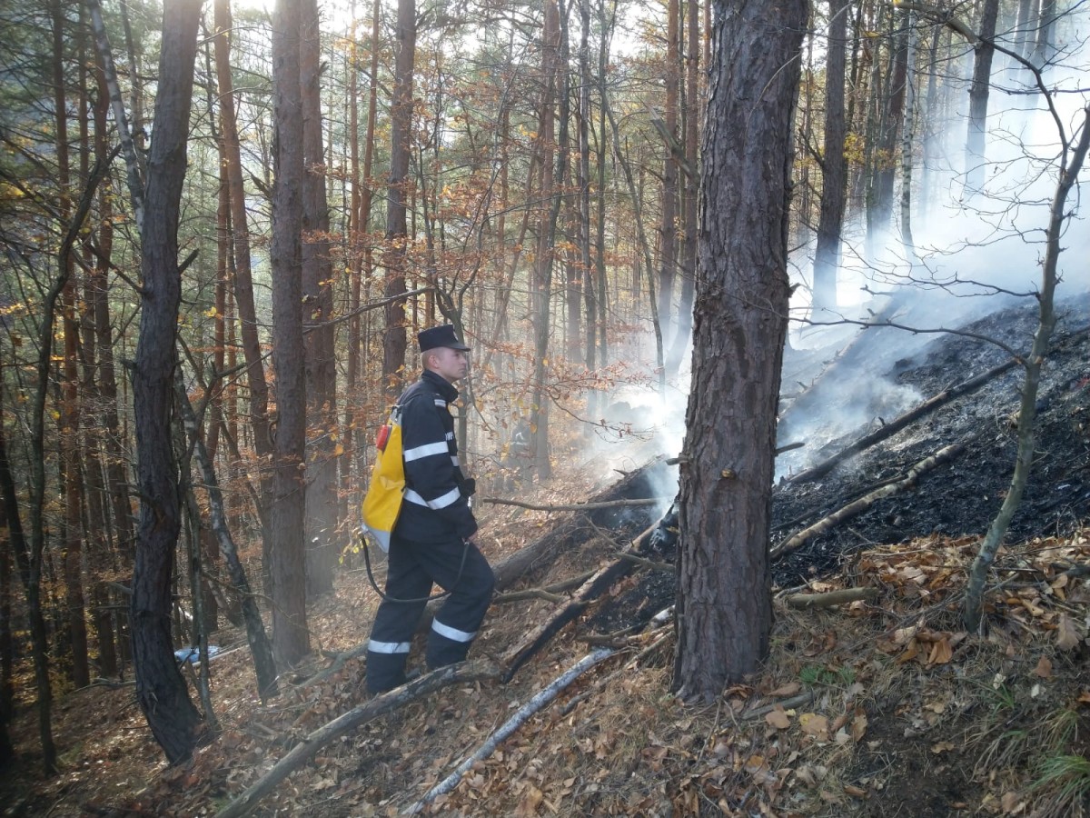 Pădurea de la Măgura arde iar. Incendiul se manifestă pe 1000 metri pătrați