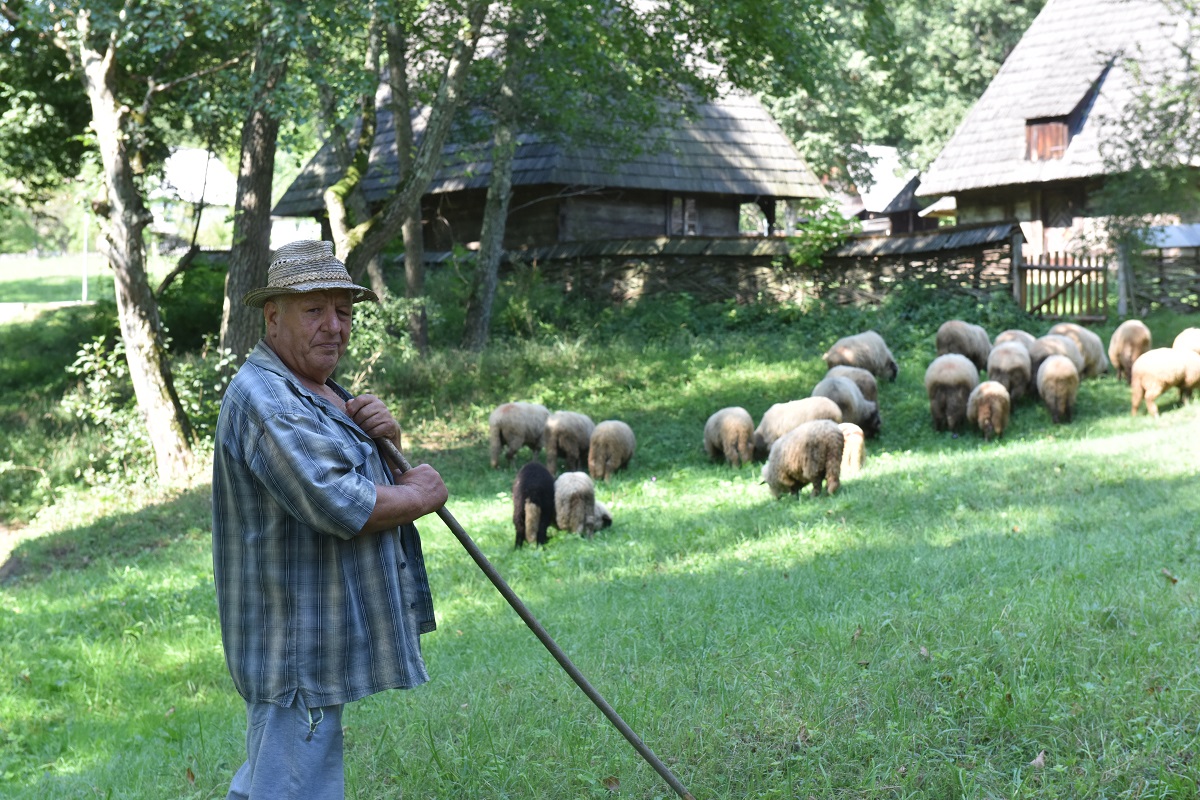 Muzeul, job-ul meu de pensionar