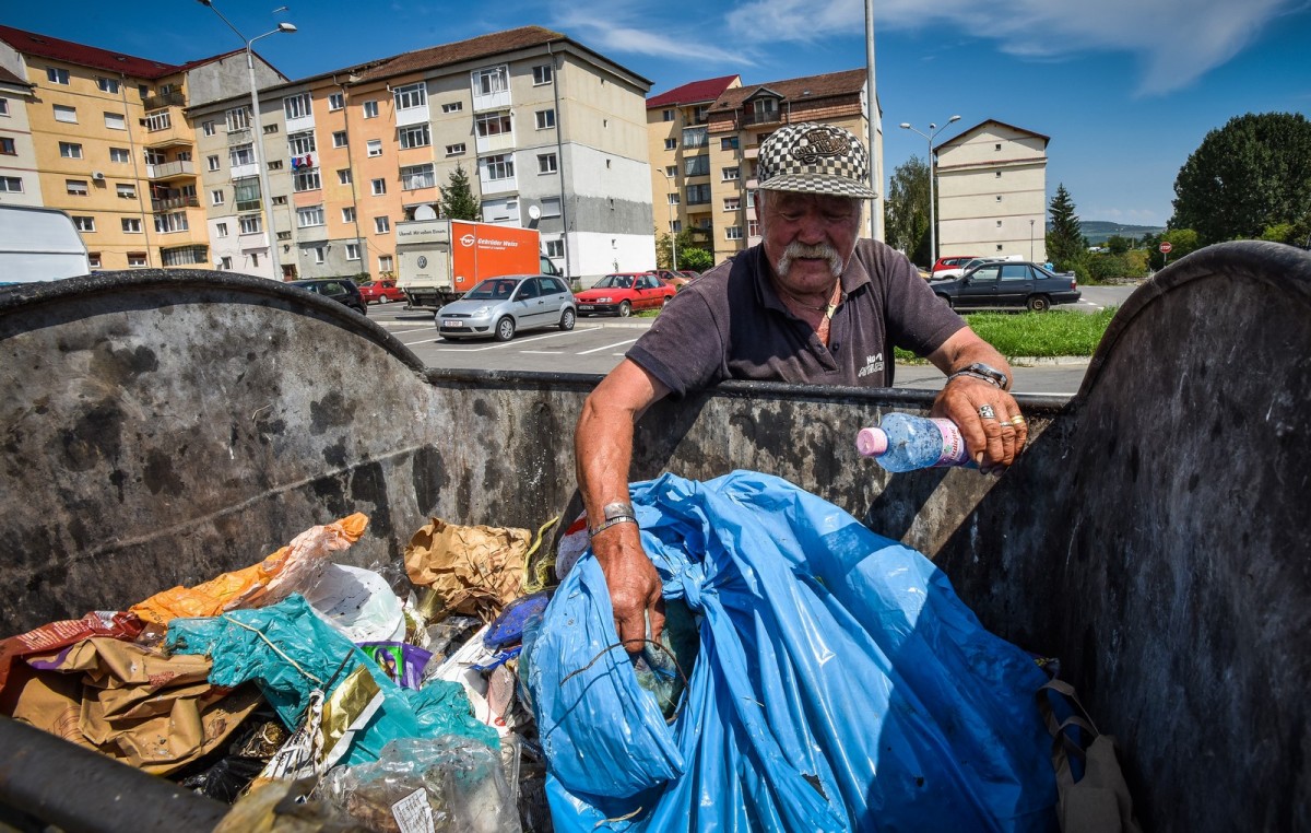 Regele gunoaielor | foto video