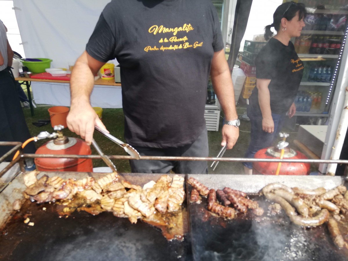 FOTO Cum a fost la primul festival al porcului de Mangalița: cu mici exclusivi și fără politică