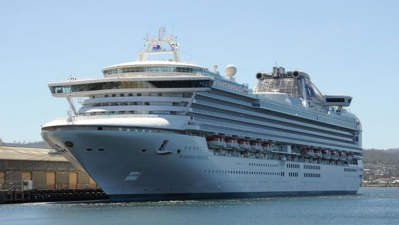 Un cetăţean român de pe nava de croazieră Diamond Princess, depistat cu coronavirus