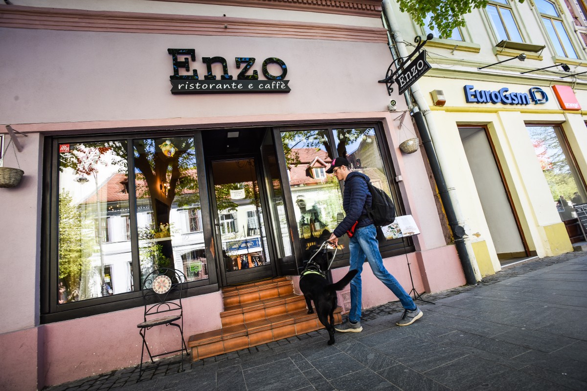 Cât de prietenos este Sibiul cu posesorii de animale de companie