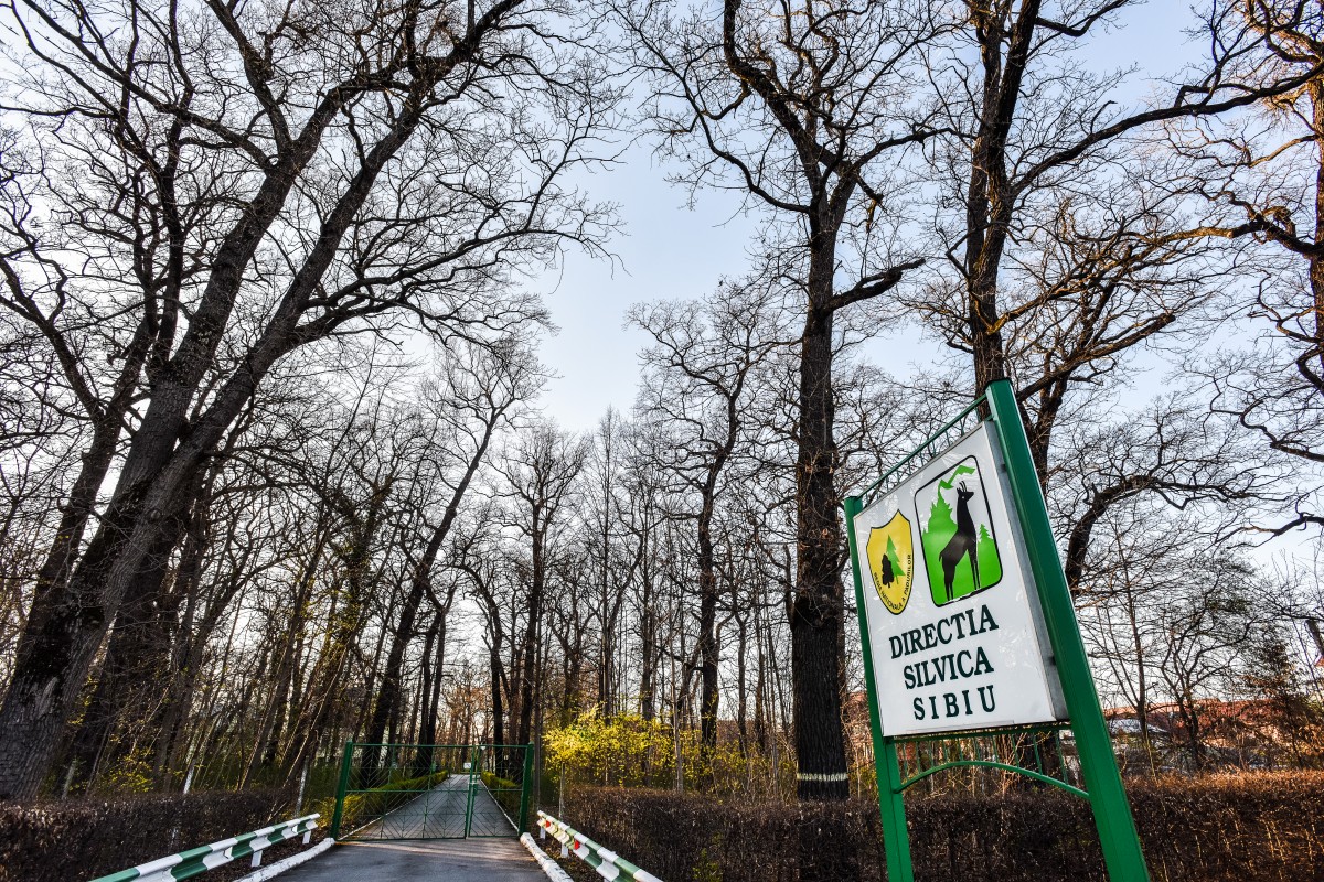 Anunț licitație publică - Direcția Silvică Sibiu