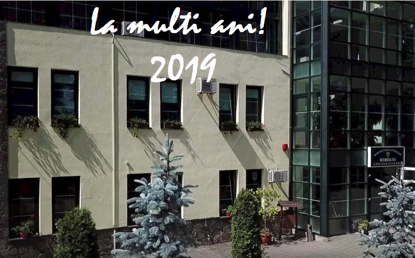 Mesajul Direcției Silvice Sibiu, de sărbători (CP)