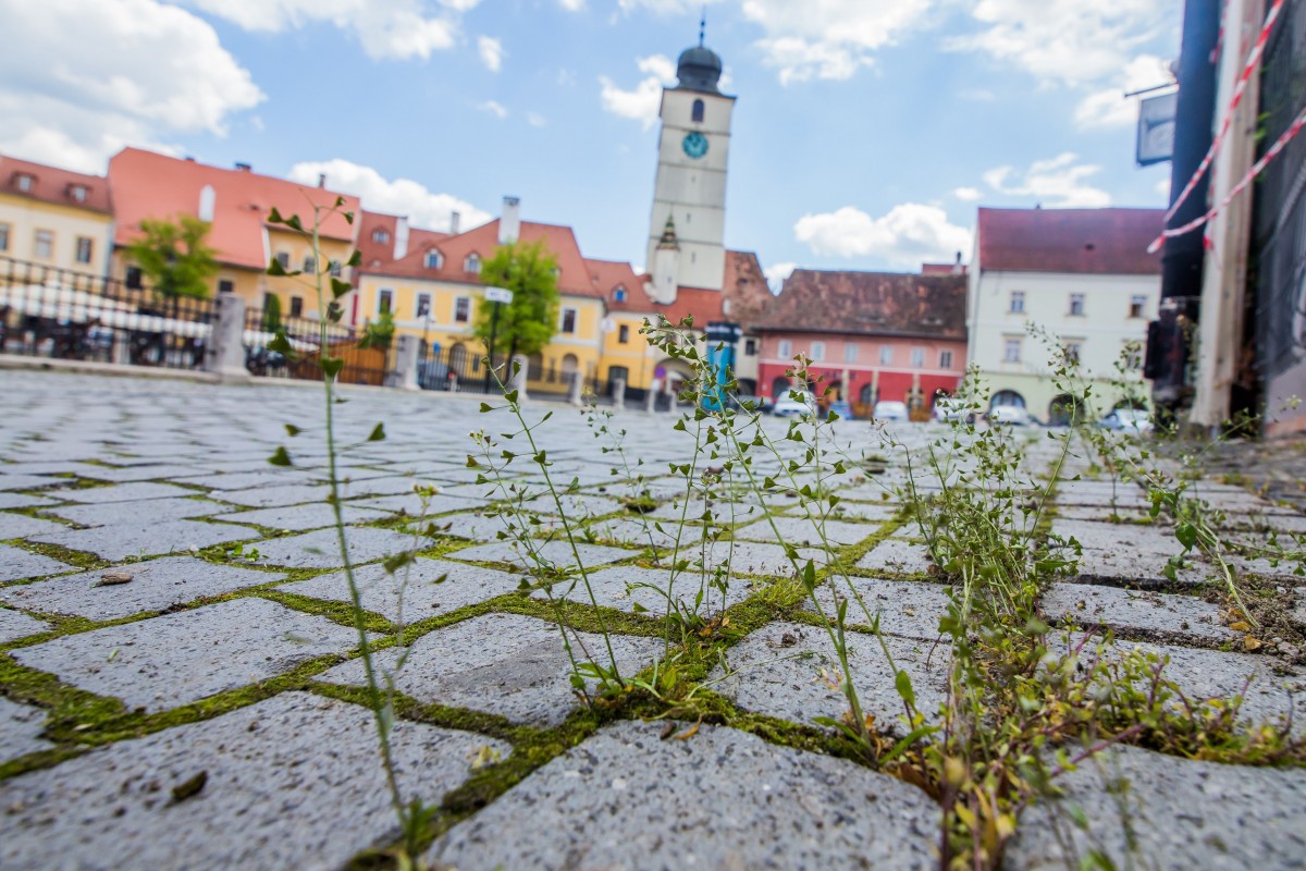 Continuă decolmatarea râului Cibin și a pârâurilor din Sibiu. Începe erbicidarea împotriva vegetației crescute în zonele pietonale pavate