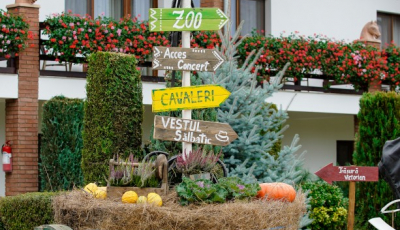 Începe Dracula Horse Festival. Care este programul