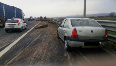 Camionul cu bușteni împrăștiați, tragedia ignorată pe autostradă
