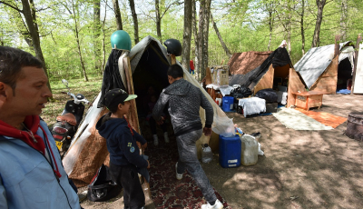 „Refugiații“ din Pădurea Dumbrava | Foto și video