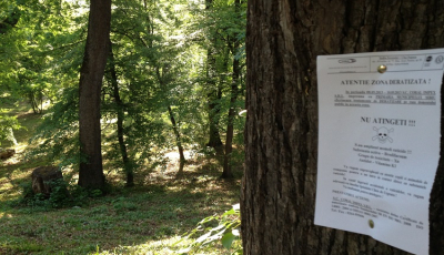 Milionul de euro pentru căpușele și țânțarii Sibiului: DNA, sesizat de firma pentru care DNA a descins în Primărie. ”Acțiuni de intimidare și dezinformare”