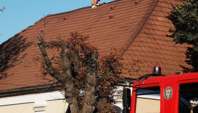 Actualizare. S-a dezbrăcat și a urcat pe acoperișul Spitalului. ”A profitat și a rupt capacul ventilatorului din tavan”